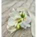 White Phalaenopsis Corsage 
